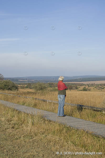 les Hautes Fagnes